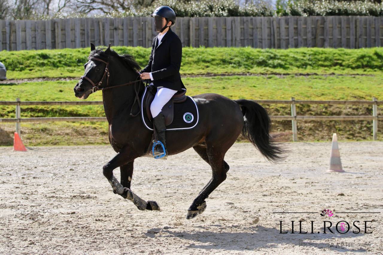 Valmont de Fougnard - French Saddle Pony 2009 by KANTJE'S RONALDO(NLD) NF 1987