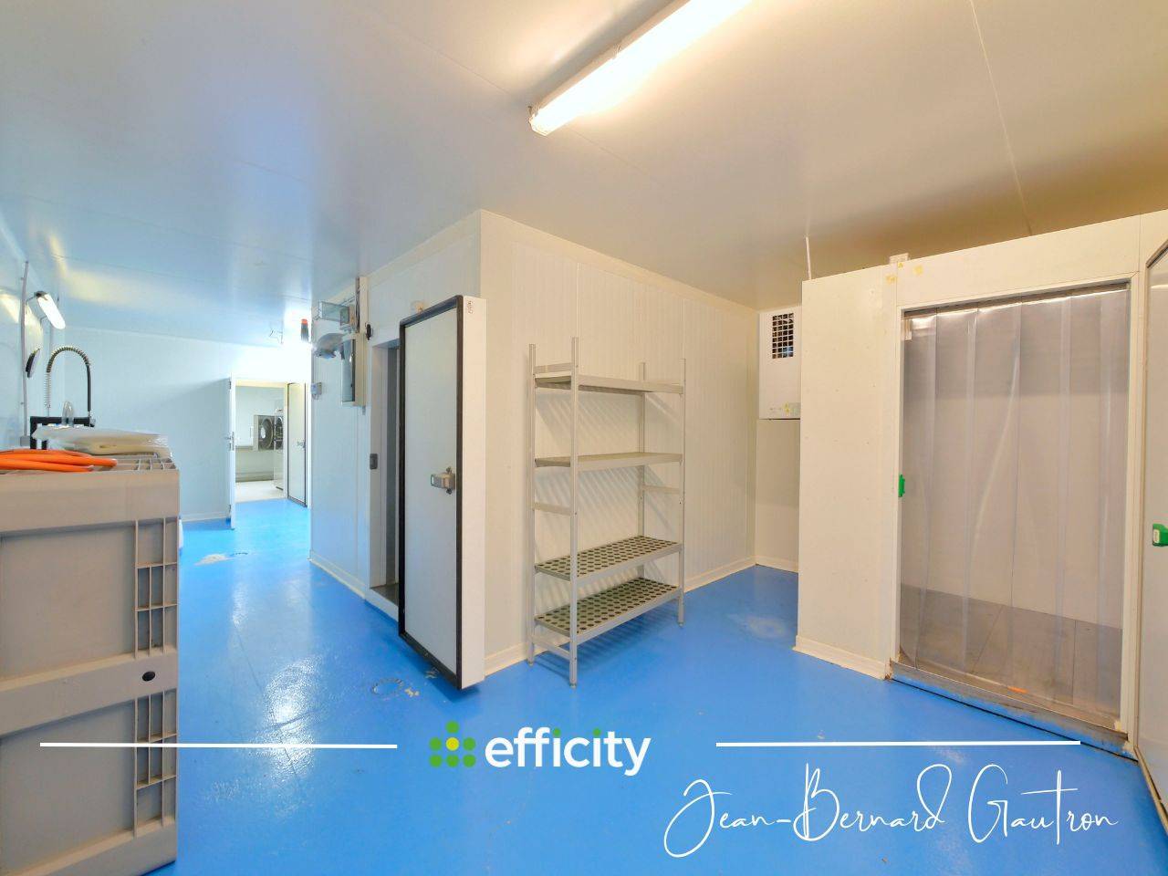 Stud farm  Côte d'Armor