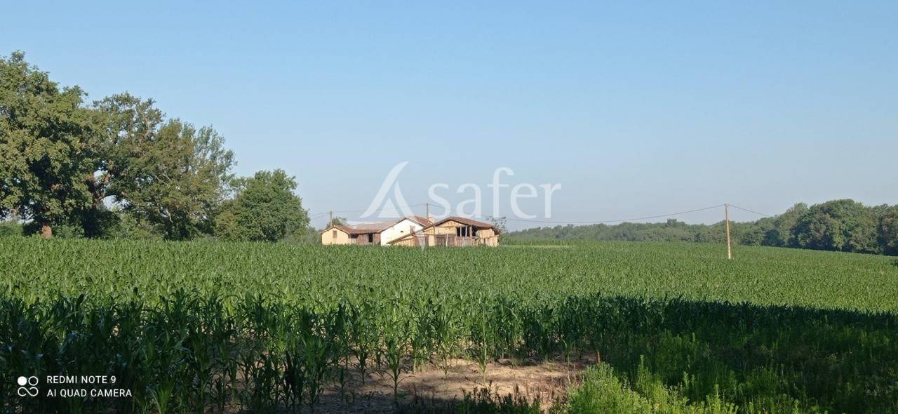 Other agricultural property  Landes