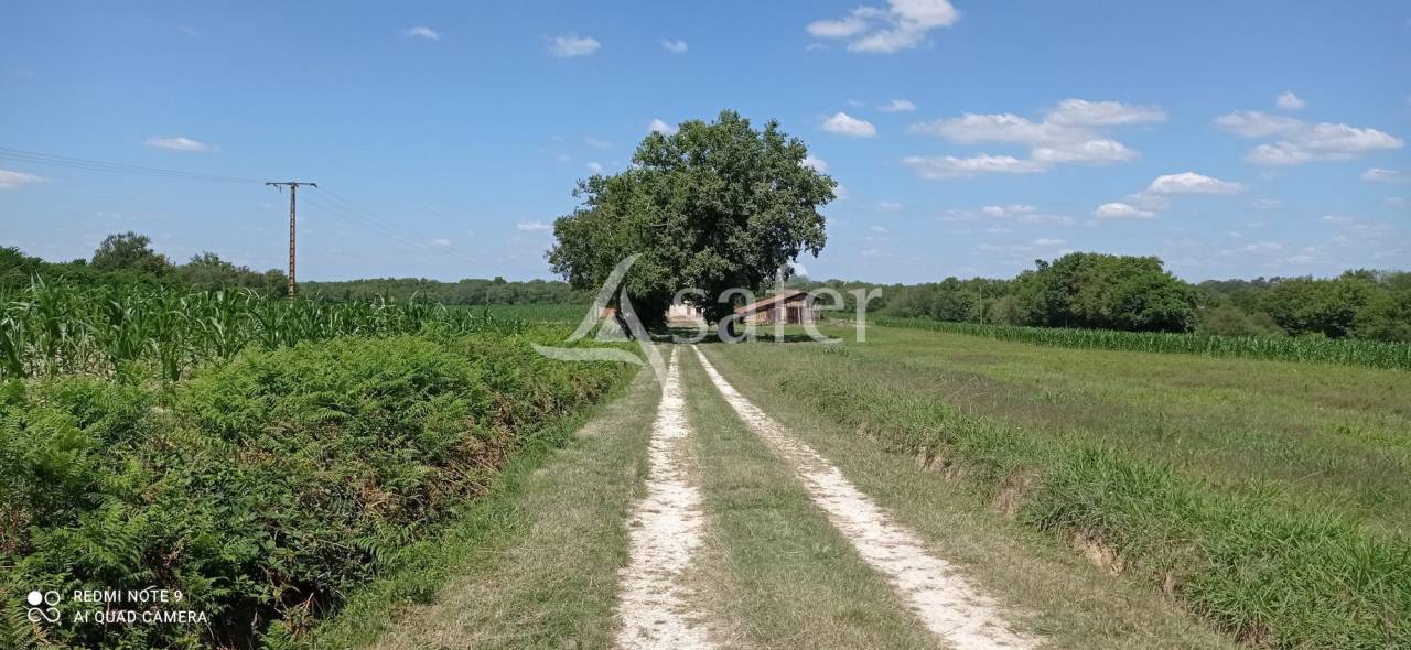 Other agricultural property  Landes