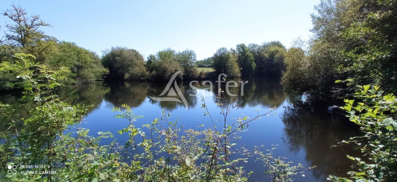 Other agricultural property  Landes