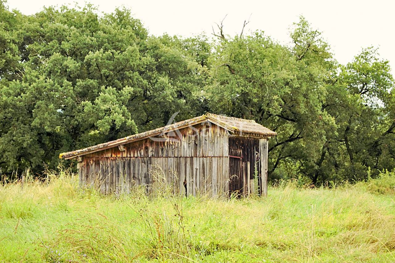 Other agricultural property  Gers