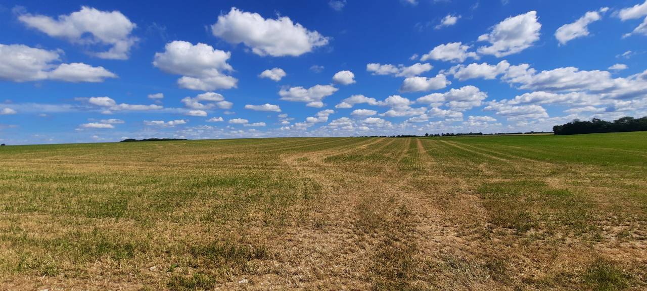 Equestrian property  Charente-Maritime