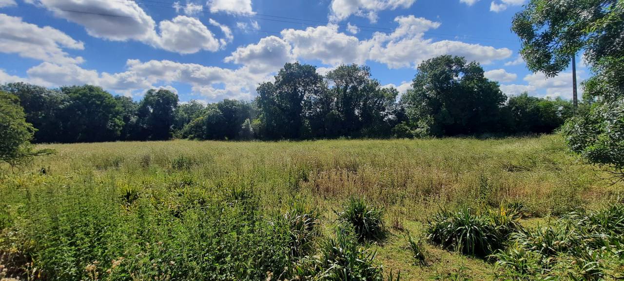 Equestrian property  Charente-Maritime