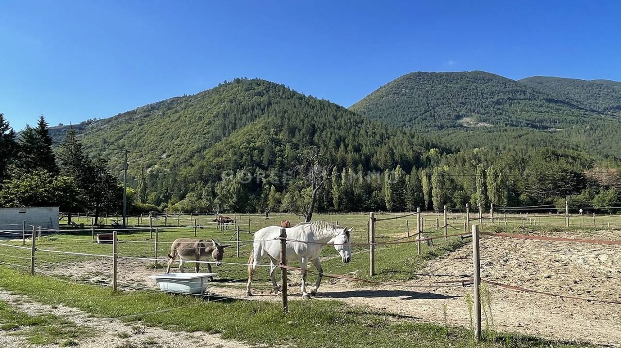 Equestrian property  Vaucluse