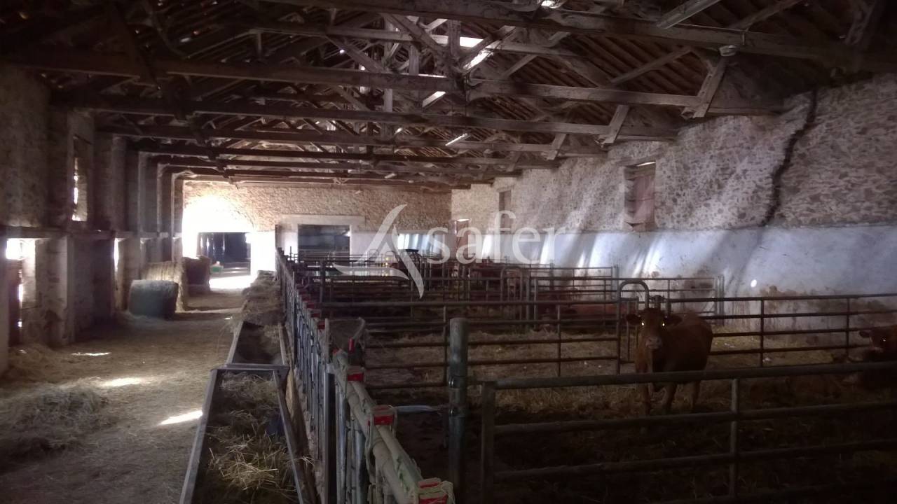 Other agricultural property  Haute-Vienne