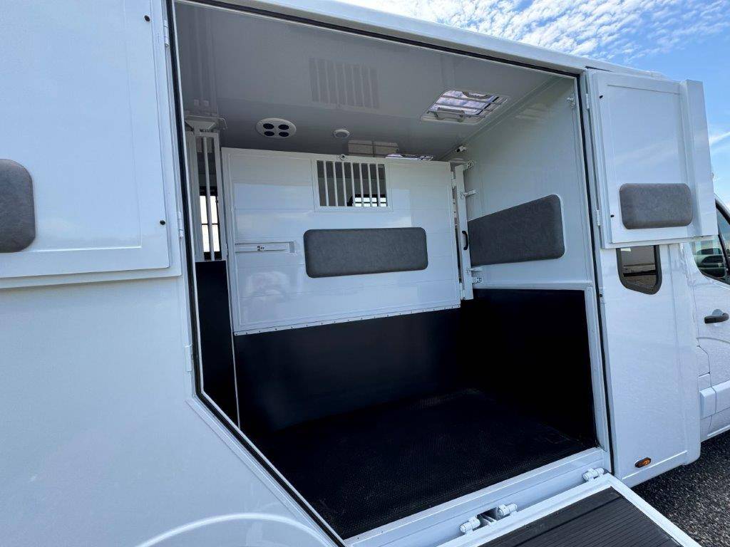 Horsebox HGV TBST RENAULT MASTER 2024 New