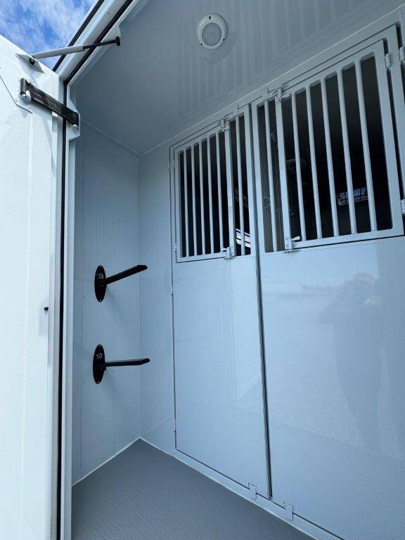 Horsebox HGV TBST RENAULT MASTER 2024 New