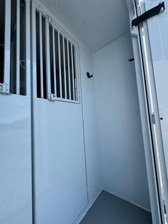 Horsebox HGV TBST RENAULT MASTER 2024 New