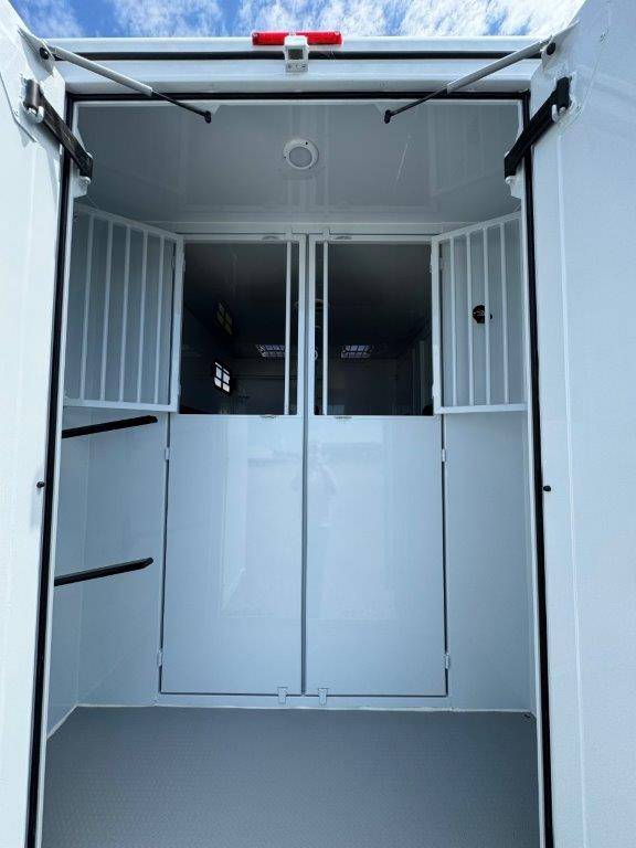 Horsebox HGV TBST RENAULT MASTER 2024 New