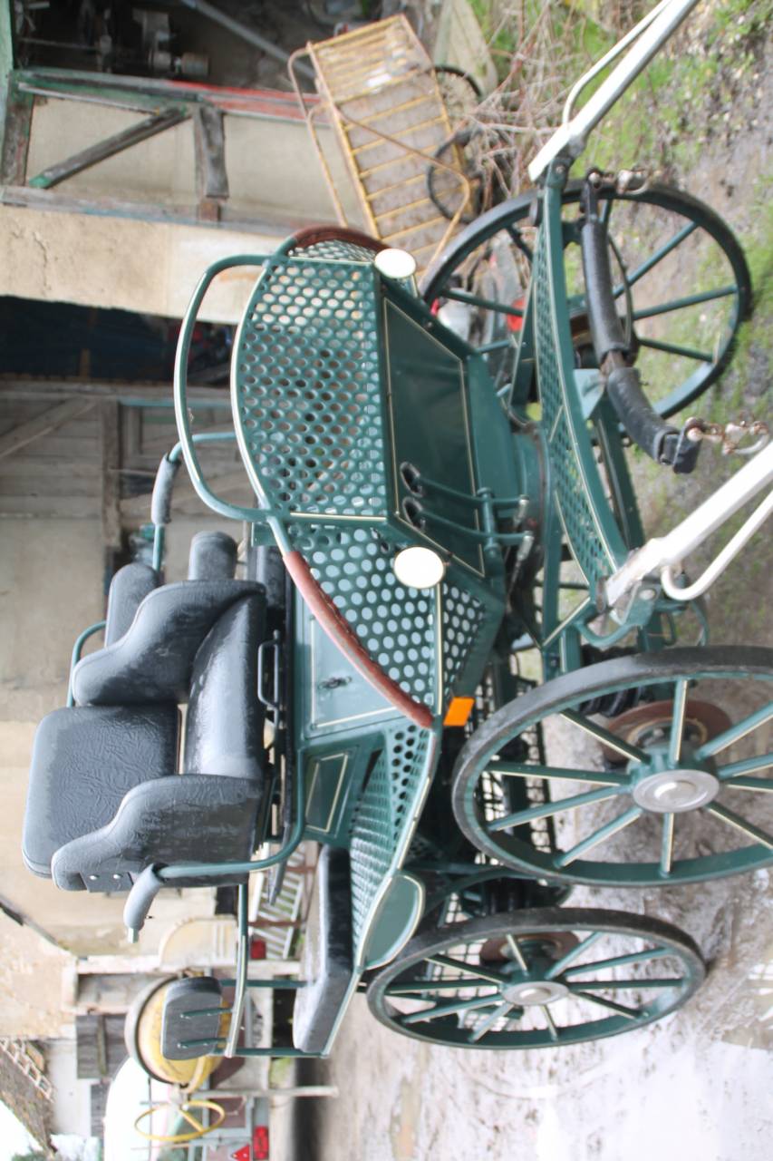 Carriage - Calèche   