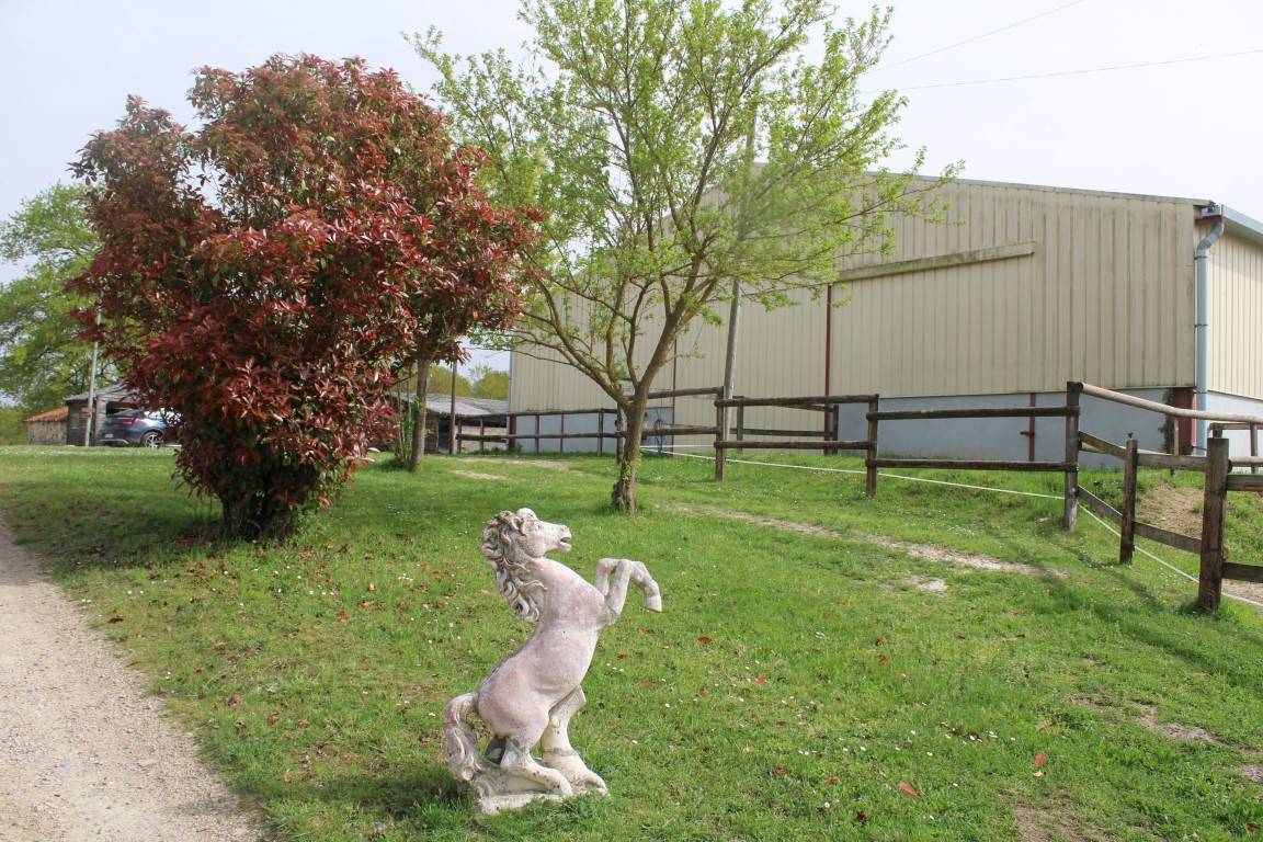 Equestrian property  tarn