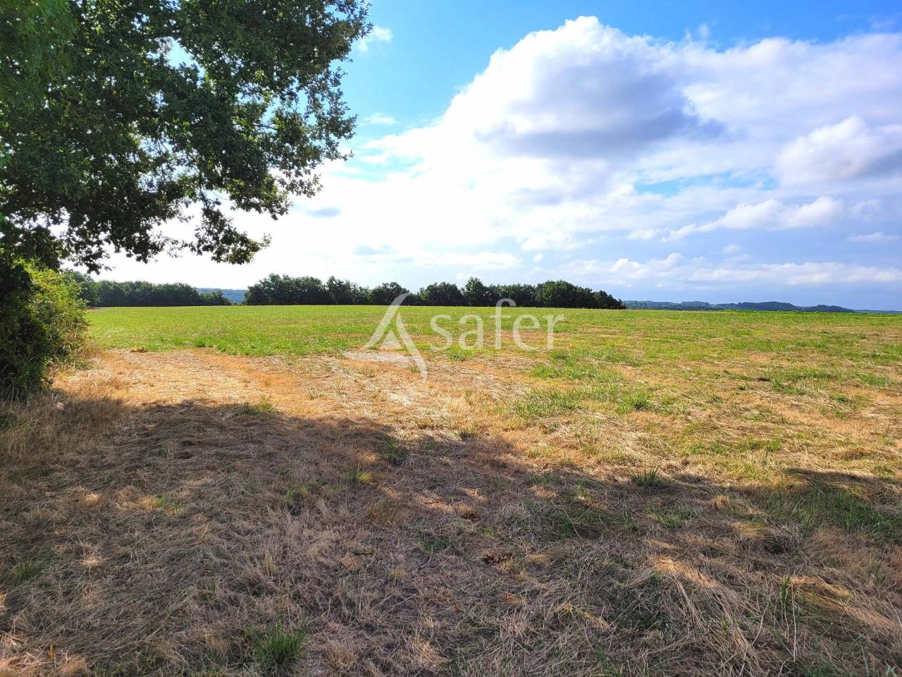 Equestrian property  Tarn-et-Taronne