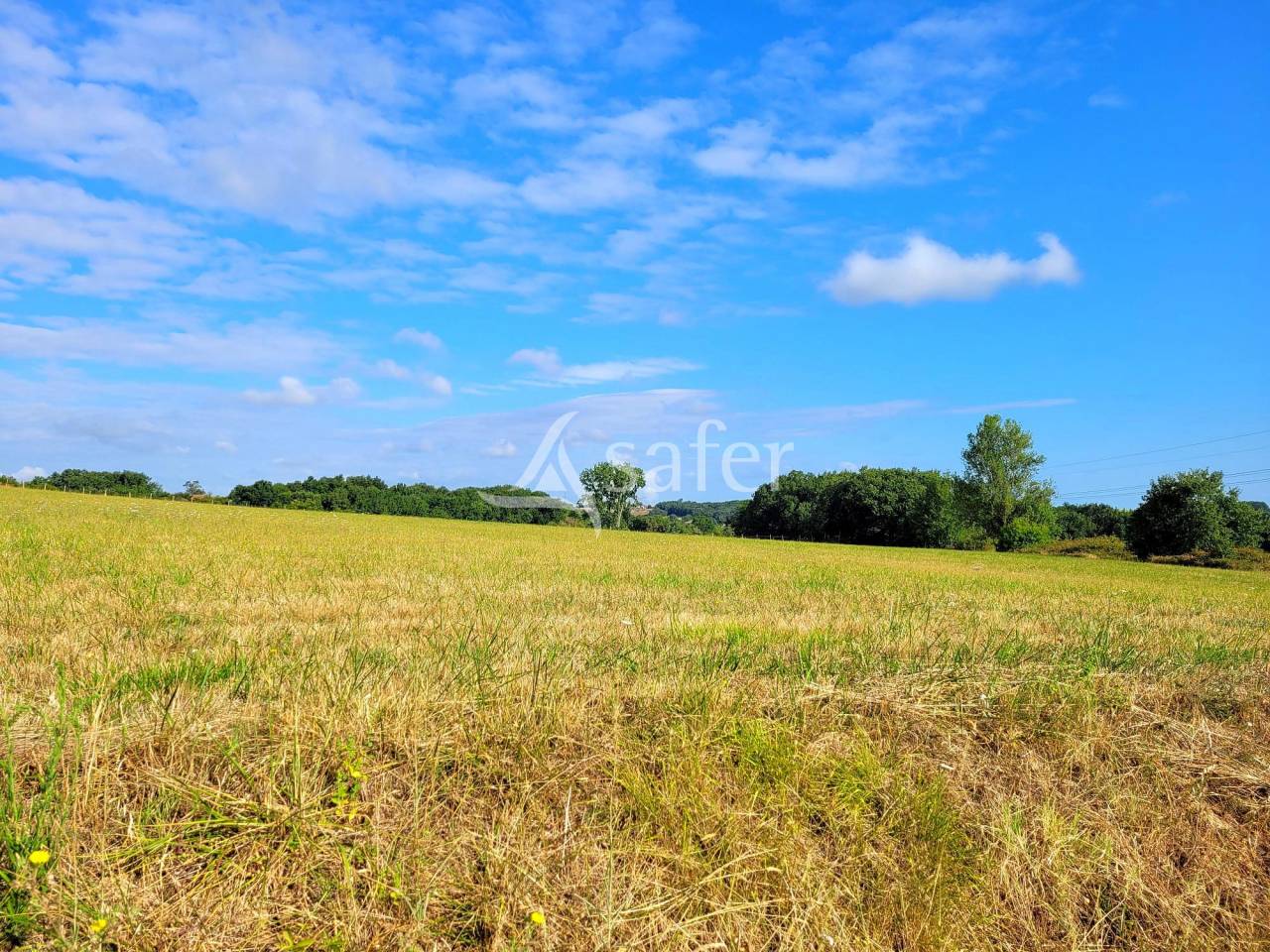 Equestrian property  Tarn-et-Taronne