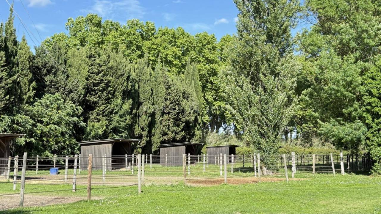 Equestrian property  Bouches-du-Rhône