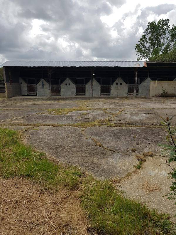 Equestrian property  Vendée