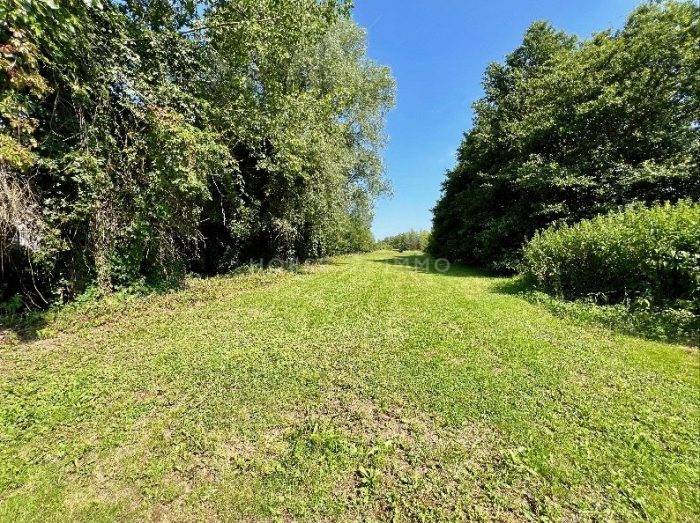 Equestrian property  Ain