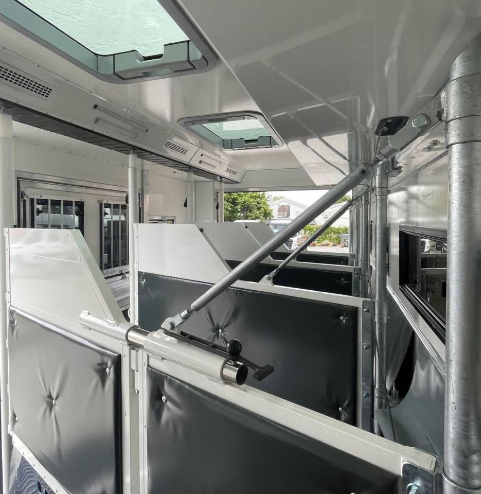 Horsebox NON-HGV Man MAN 0 New