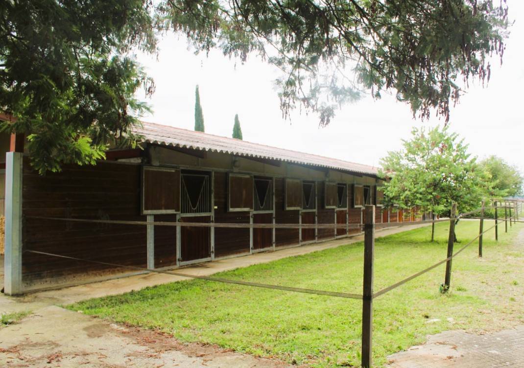 Equestrian property  Gers