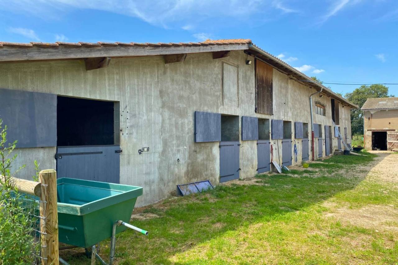 Equestrian property  Ain