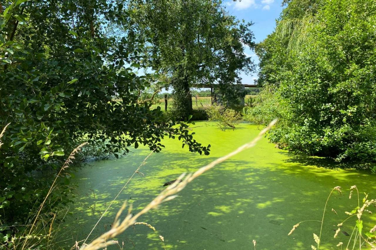 Equestrian property  Ain