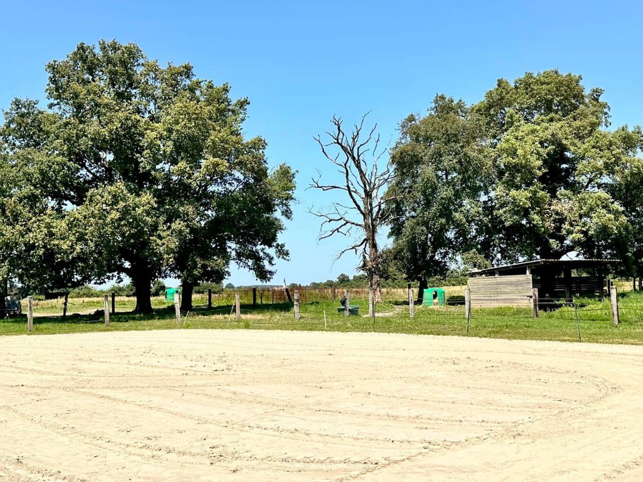 Equestrian property  Ain