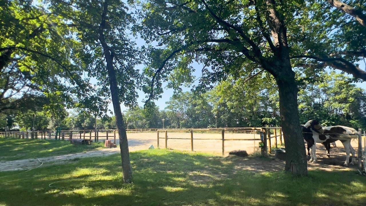 Equestrian property  Aude