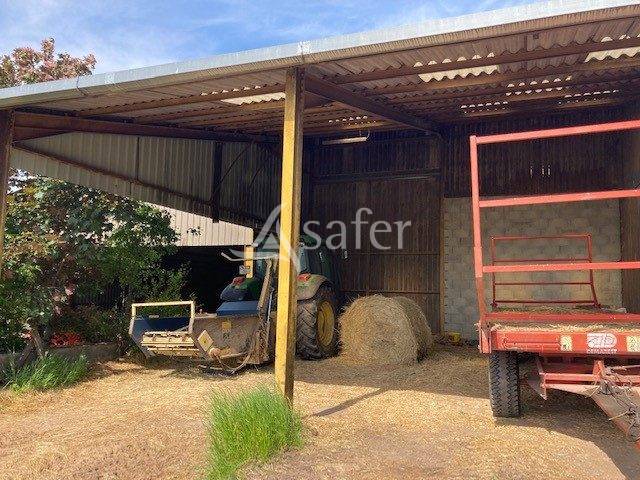 Sheep farm  Saône-et-Loire
