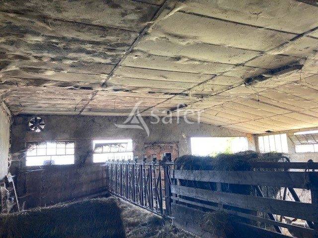 Sheep farm  Saône-et-Loire