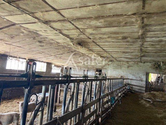 Sheep farm  Saône-et-Loire