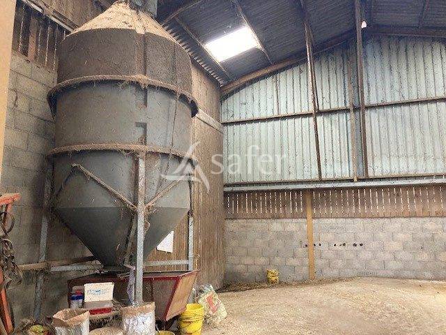 Sheep farm  Saône-et-Loire