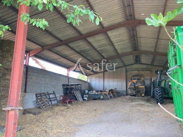 Sheep farm  Saône-et-Loire