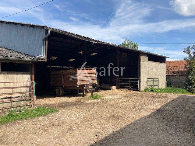 Sheep farm  Saône-et-Loire