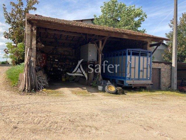 Sheep farm  Saône-et-Loire