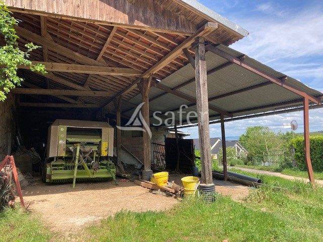 Sheep farm  Saône-et-Loire