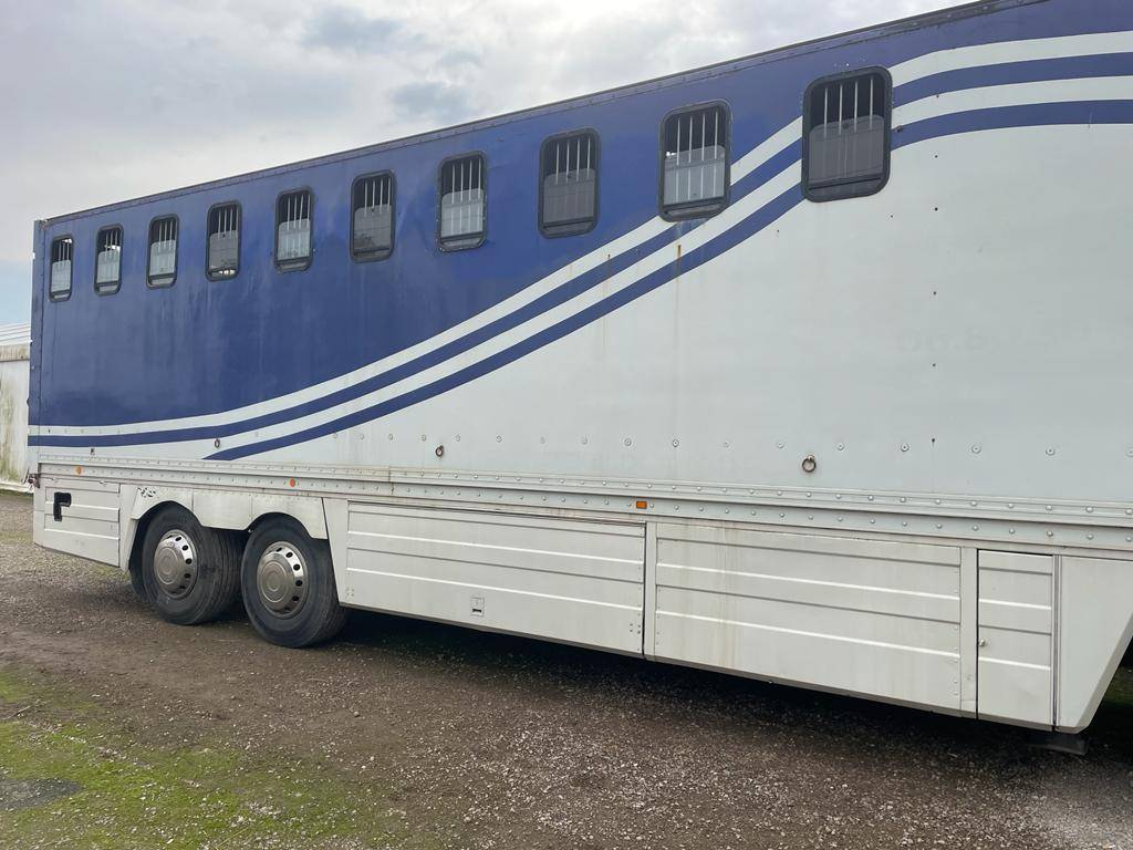 Horsebox NON-HGV Renault RENAULT 0 Used