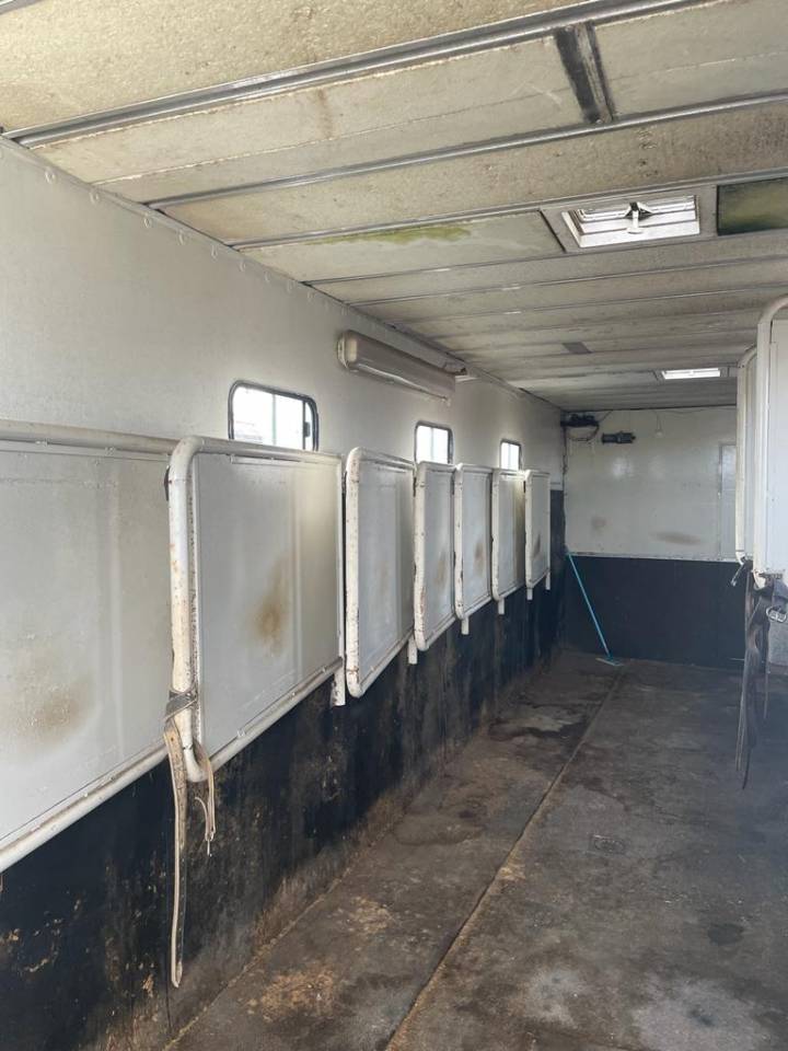 Horsebox NON-HGV Renault RENAULT 0 Used