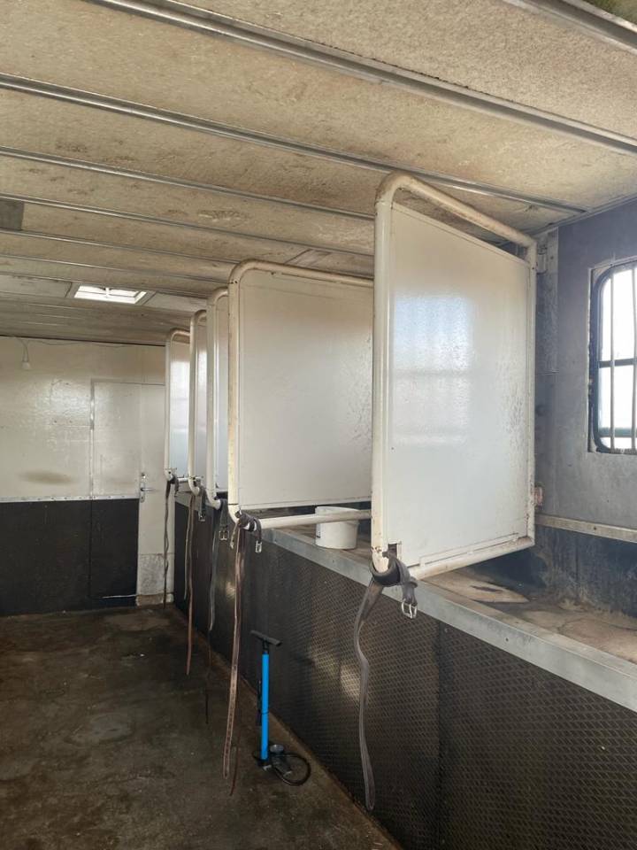 Horsebox NON-HGV Renault RENAULT 0 Used