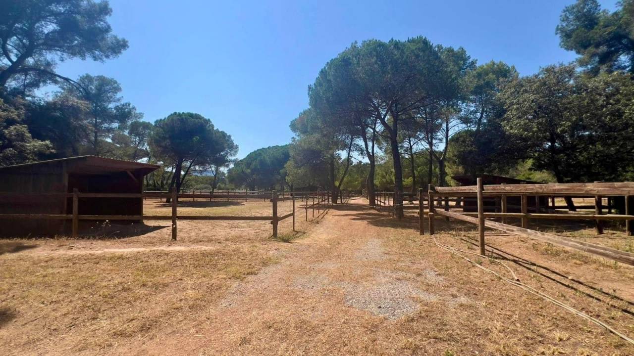 Luxurious equestrian property  Var