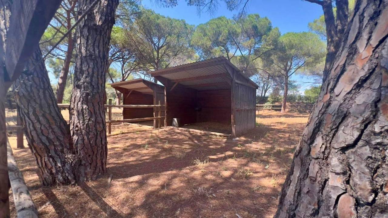 Luxurious equestrian property  Var