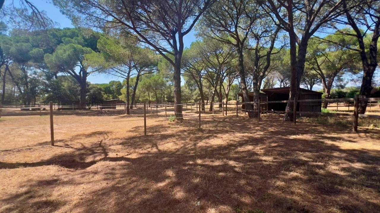 Luxurious equestrian property  Var