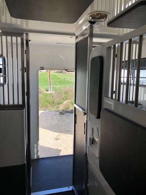 Horsebox HGV Trans Box New Svelto 3 2024 Used