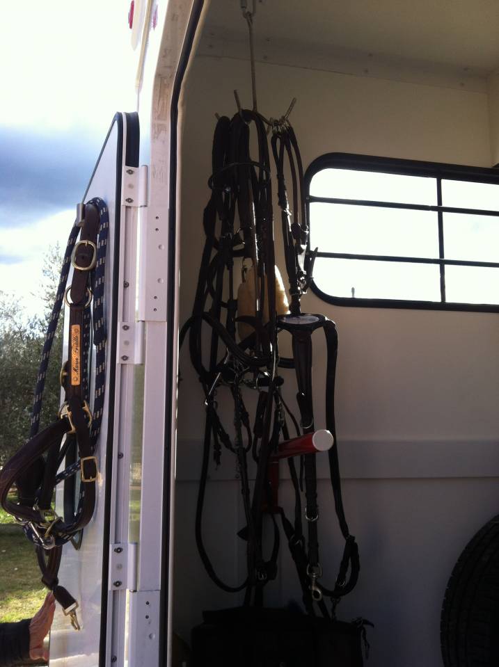 Horsebox HGV Trans Box New Svelto 3 2024 Used