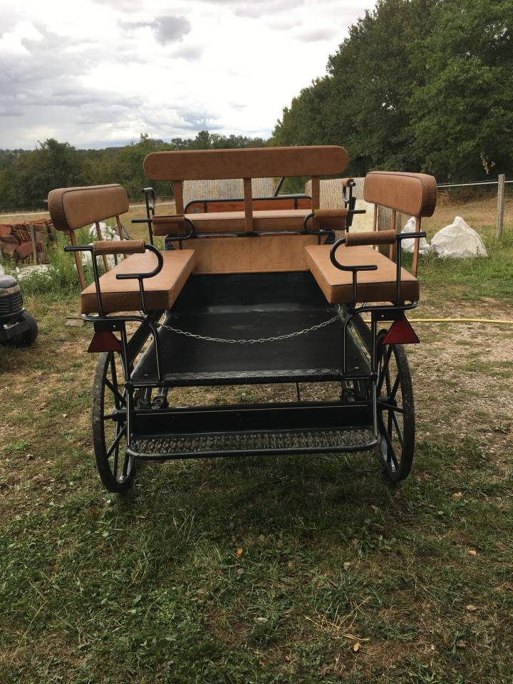 Carriage - Calèche - Other brand - equitech 
