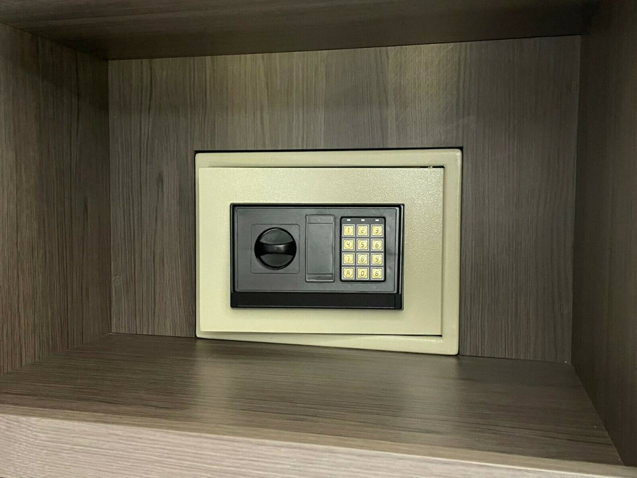 Horsebox NON-HGV Iveco IVECO 0 Used