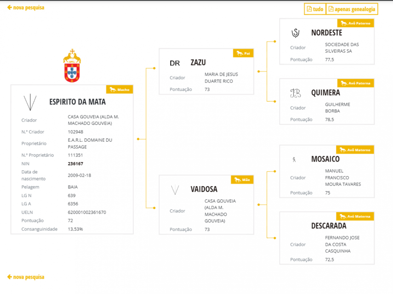 Stallion Lusitano For sale 2009 Buckskin
