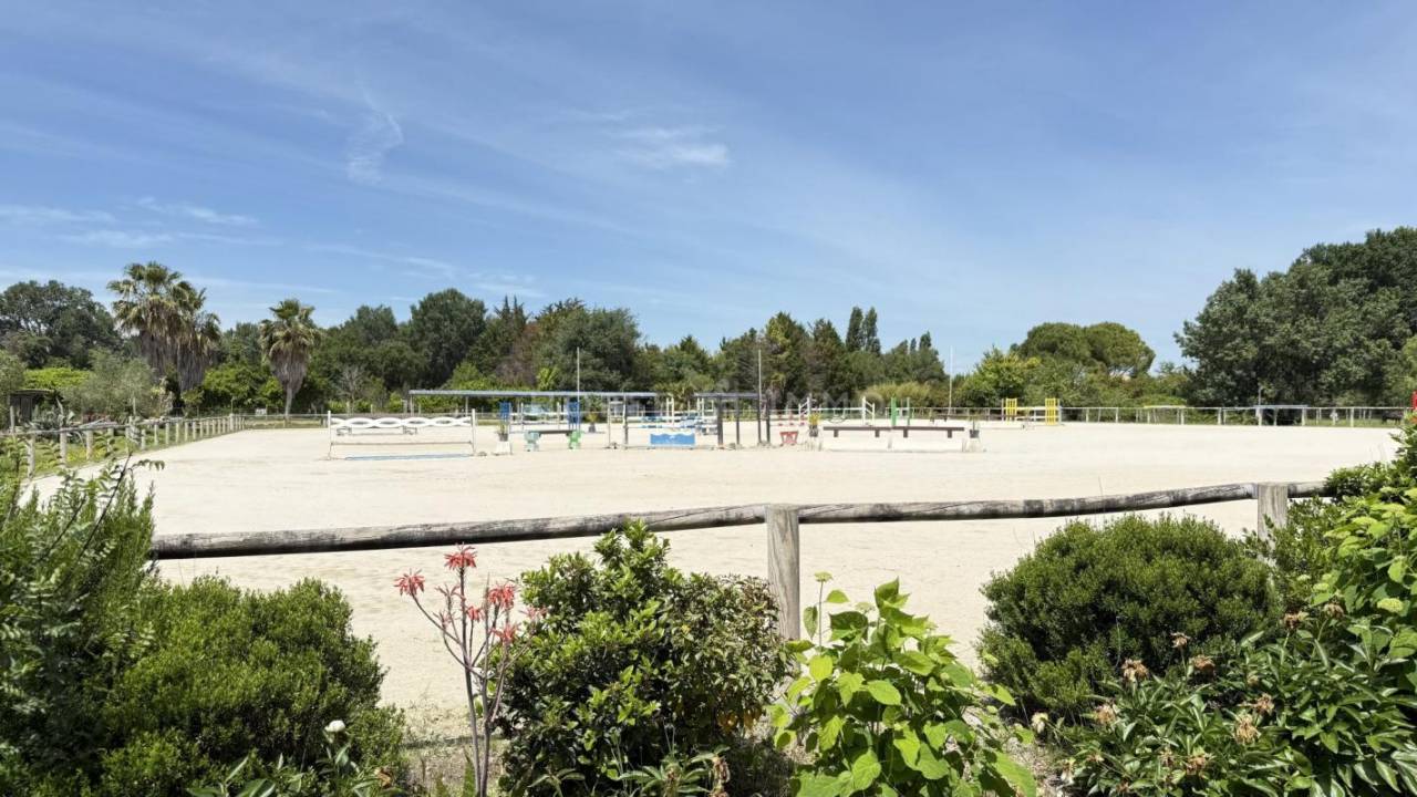 Equestrian property  Hérault