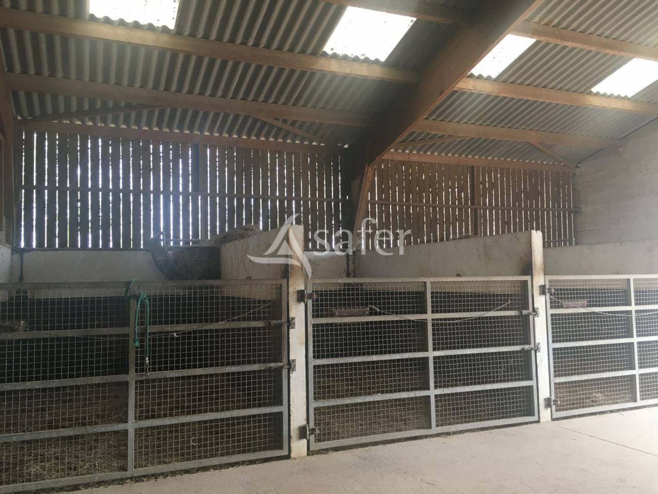 Equestrian property  Orne