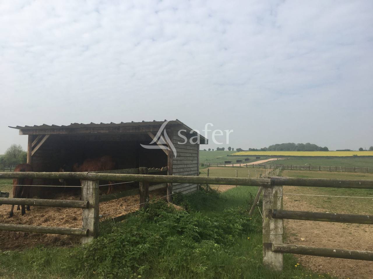 Equestrian property  Orne