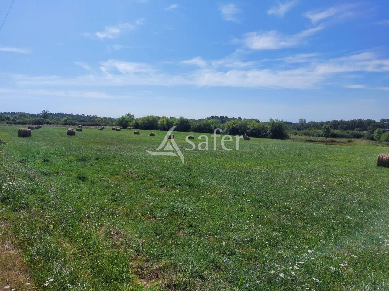Other agricultural property  Dordogne